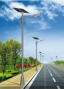1742827545426759.jpg 岷县太阳能路灯.jpg